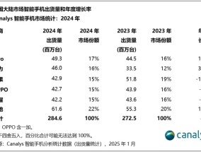 2024年中国智能手机出货量榜单出炉：vivo第一，华为第二|界面新闻 · 科技